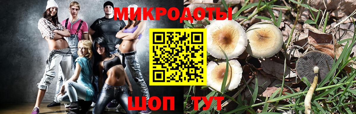 Псилоцибиновые грибы мухоморы  Псилоцибиновые грибы прущие грибы  Зима  Вход с VPN 