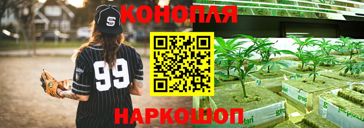 Бошки Шишки индика  Конопля AK-47  МАРИХУАНА сатива  Зима  Вход с VPN 