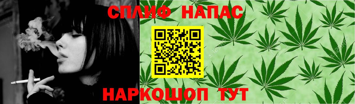 Бошки Шишки гибрид Зима